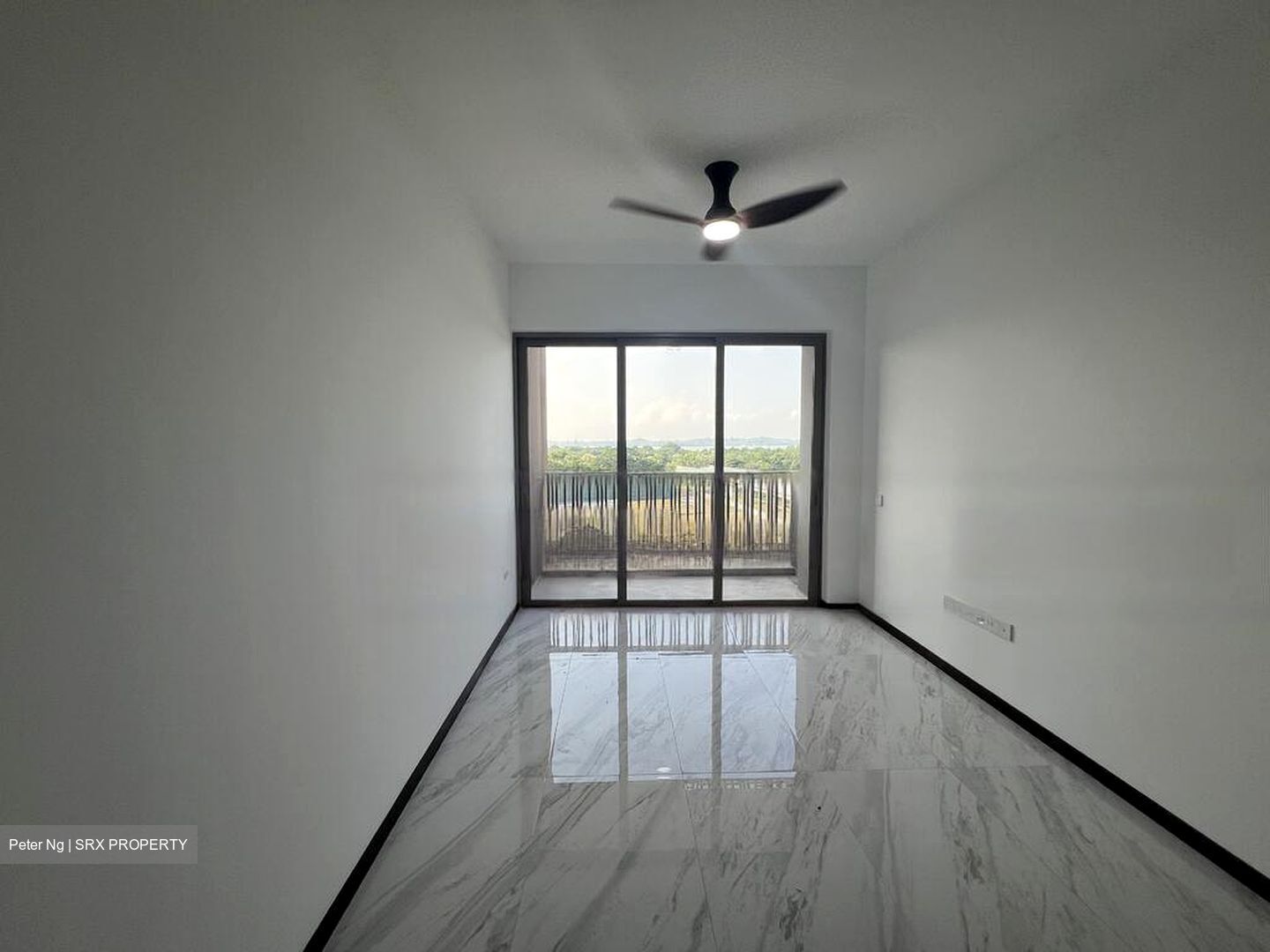 Pasir Ris Drive 8 (D18), Condominium #468427061